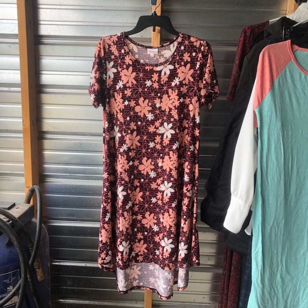 Lularoe Carly dress